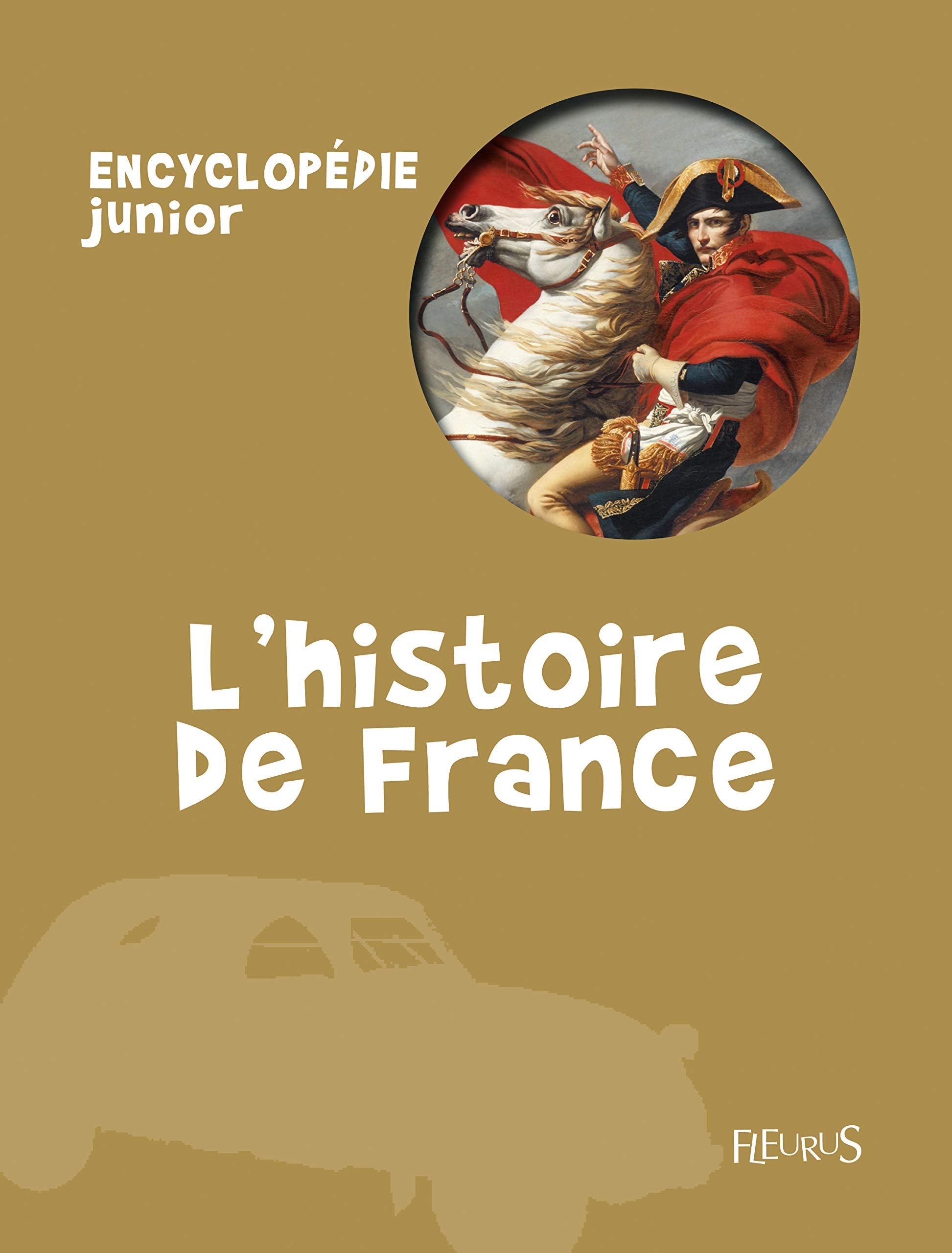 L'histoire de France 9782215055969