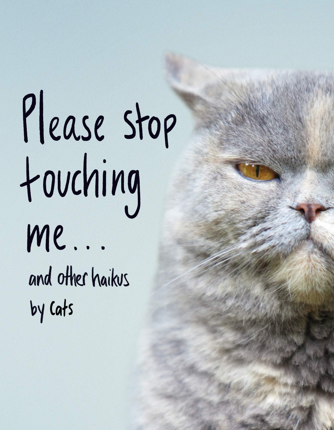 Please Stop Touching Me ... and Other Haikus by Cats 9781787632677