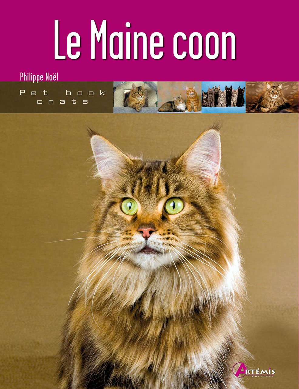 Le Maine coon 9782844164124