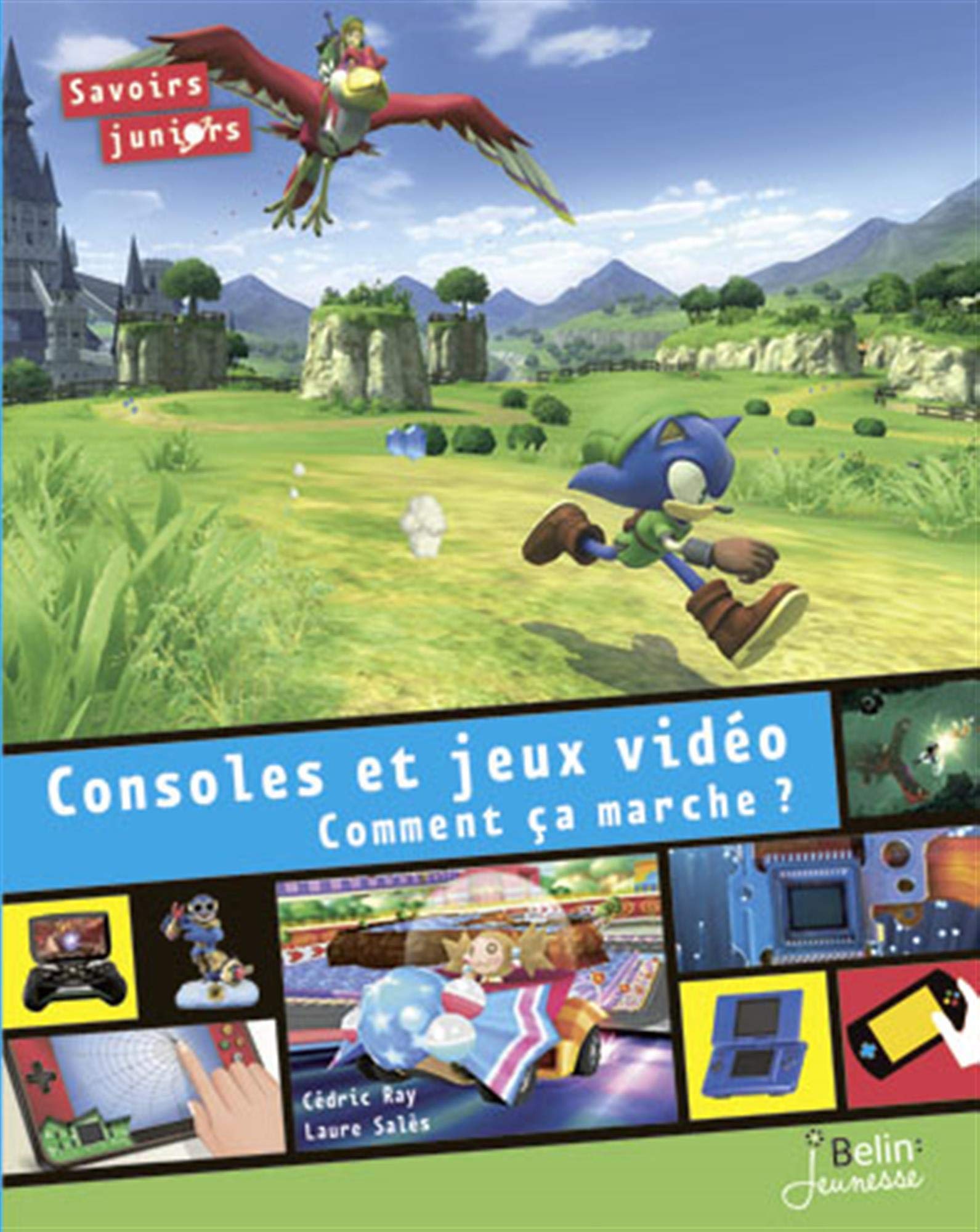 Console et jeux vidéos, comment ça marche ? 9782701183770