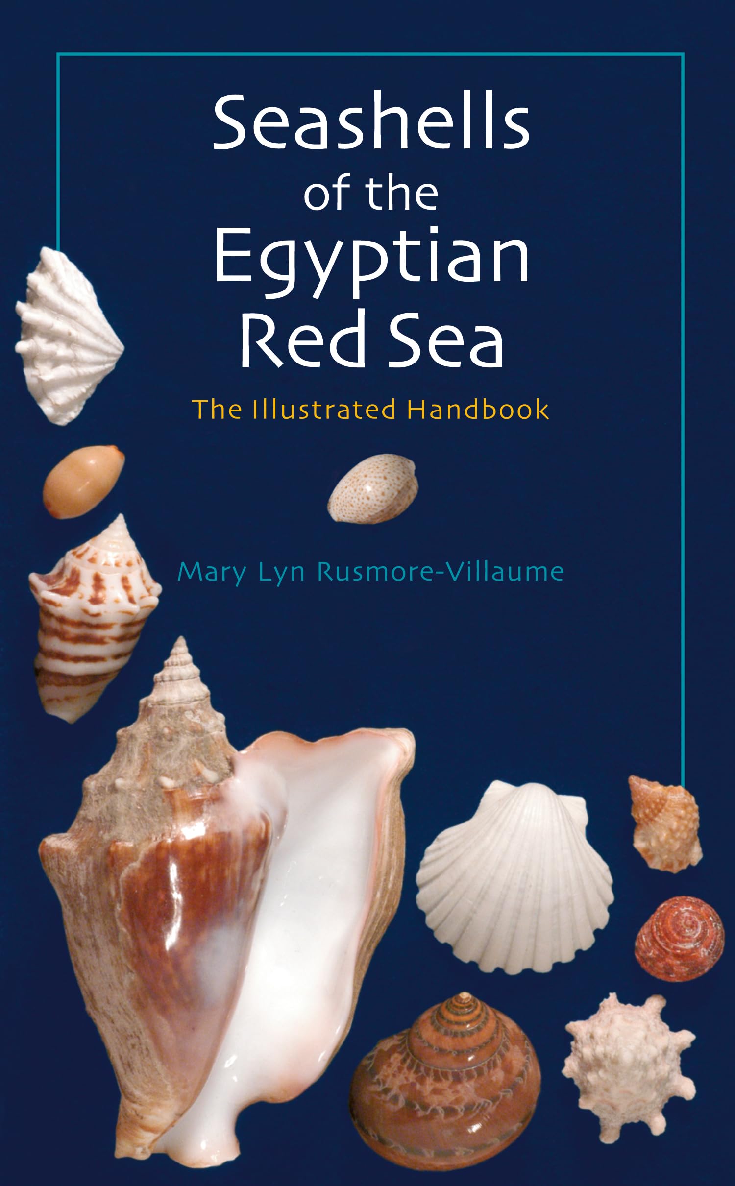 Seashells of the Egyptian Red Sea: An Illustrated Handbook 9789774160967