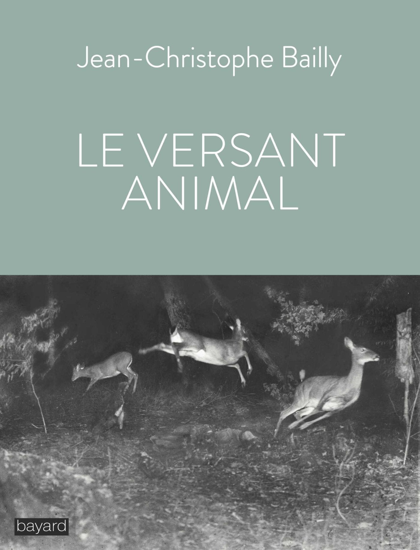 Le versant animal 9782227494565