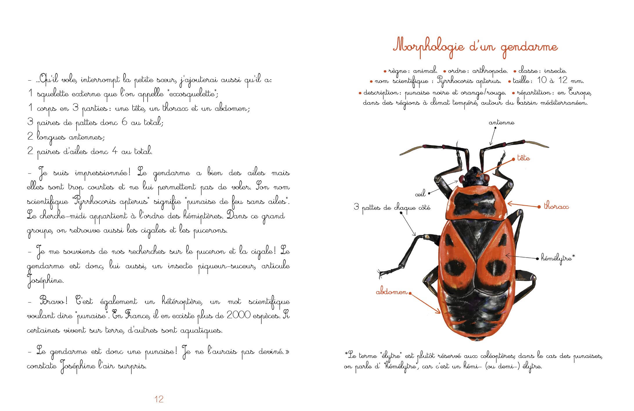 Le gendarme 9782956893424