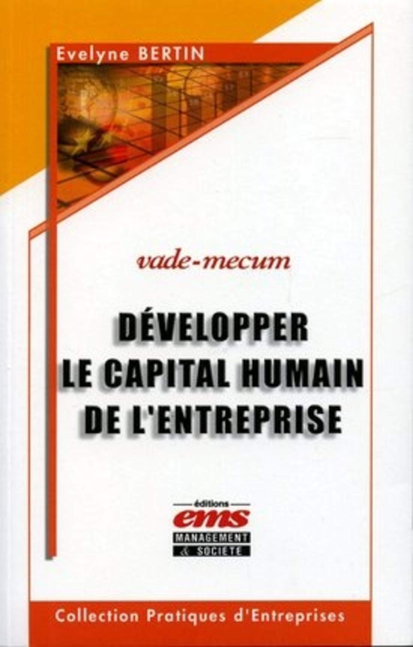 Développer le capital humain de l'entreprise: Vade-Mecum 9782847690286