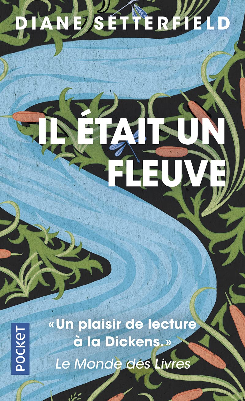 Il était un fleuve 9782266306997