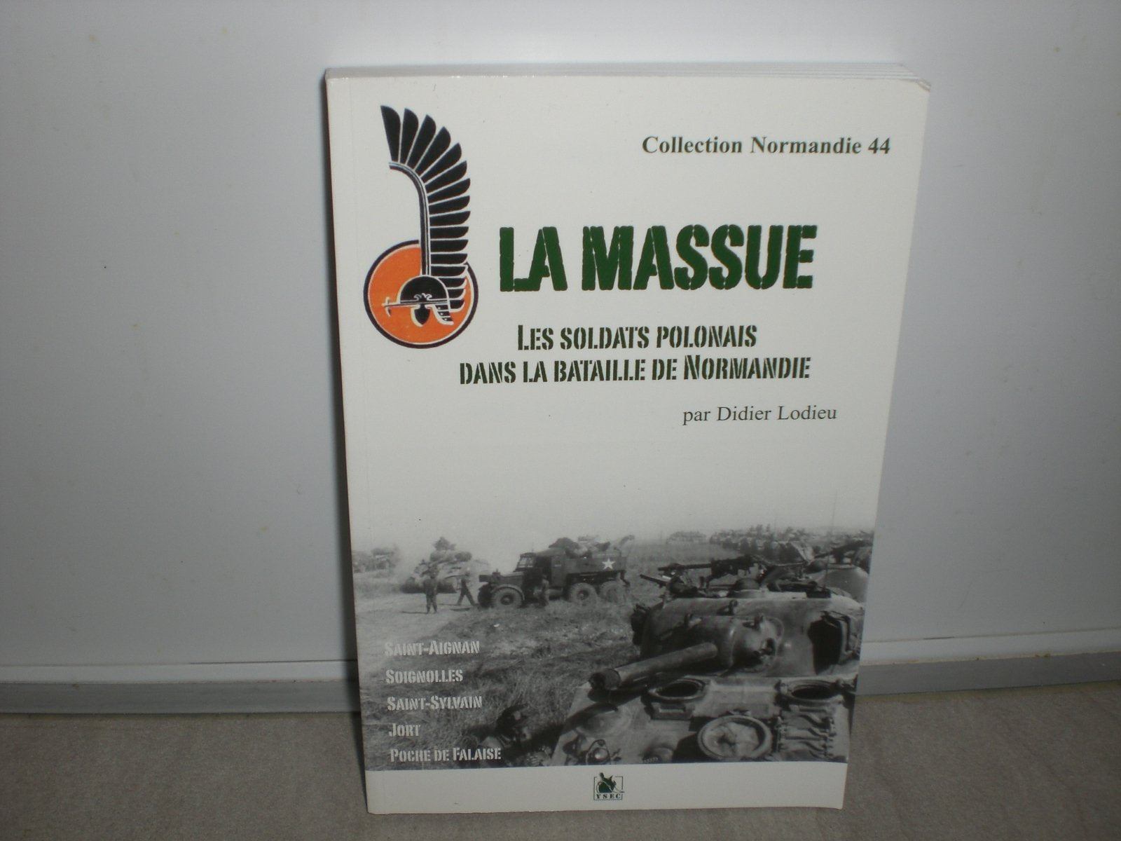 La massue: Les soldats polonais dans la bataille de Normandie 9782846730358