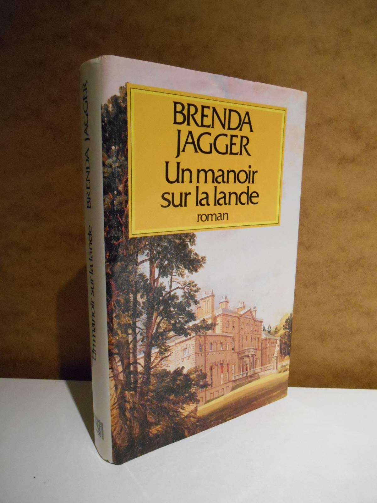 Un Manoir Sur La Lande 9782286479282