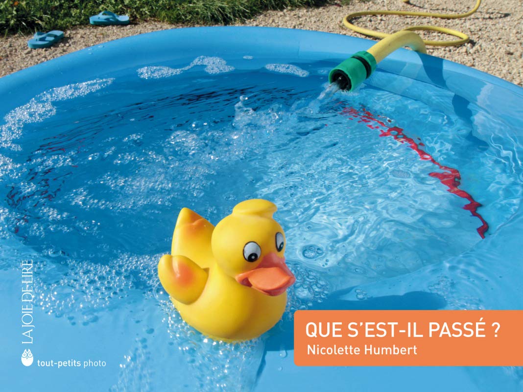 Que s'est-il passé ? 9782889082186
