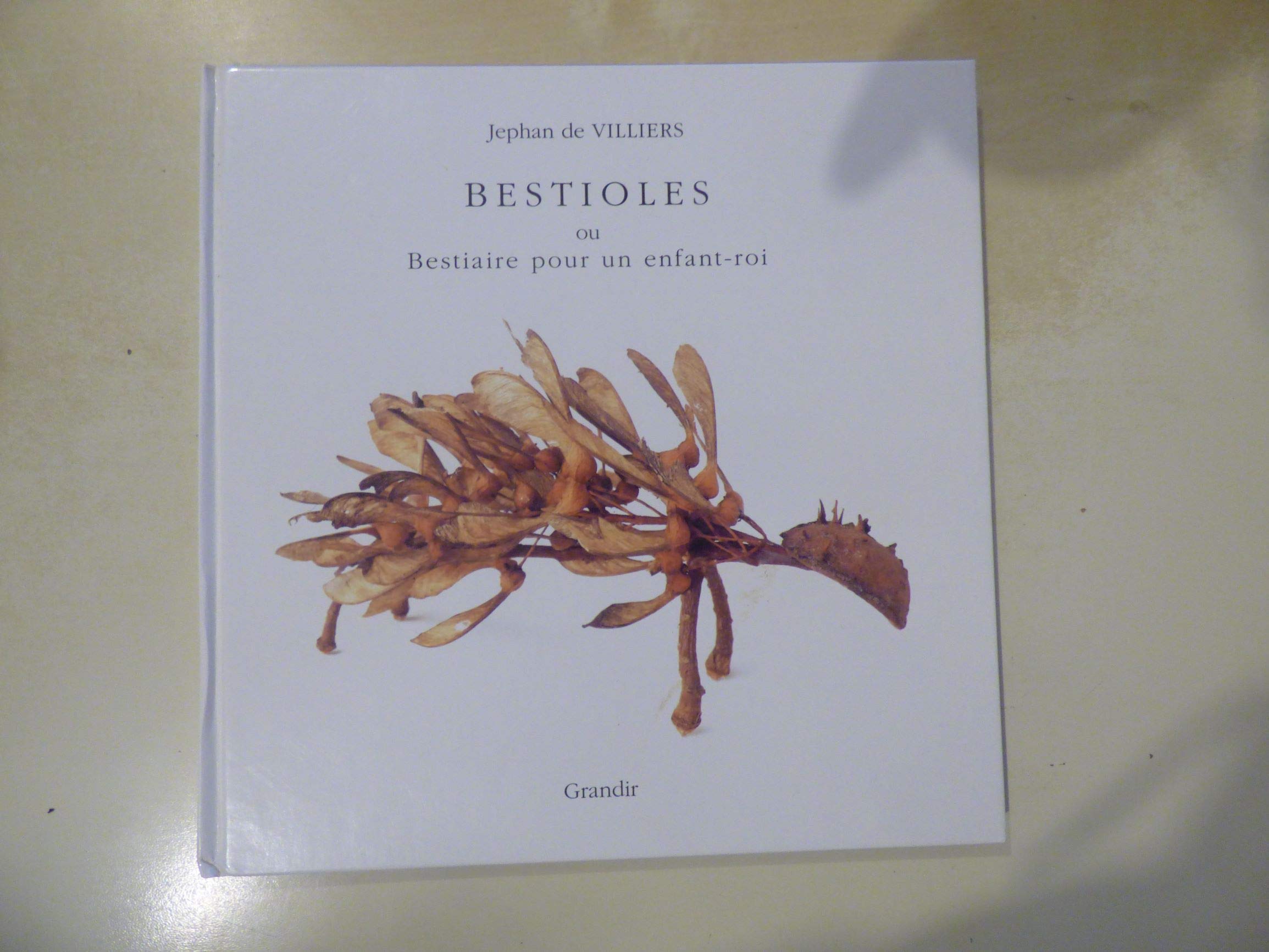 Bestioles ou bestiaires pour un enfant roi 9782841660674