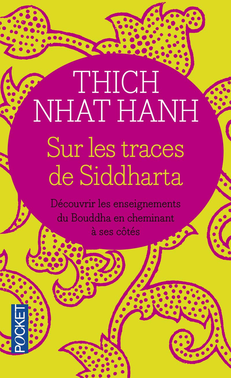 Sur les traces de Siddharta 9782266075398