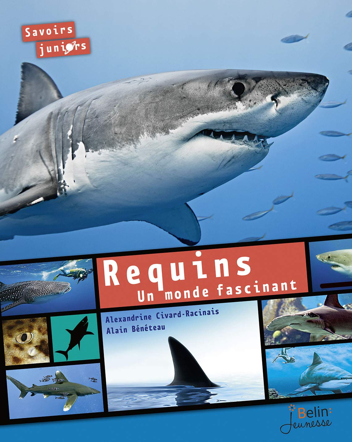 Requins: Un monde fascinant 9782701196275