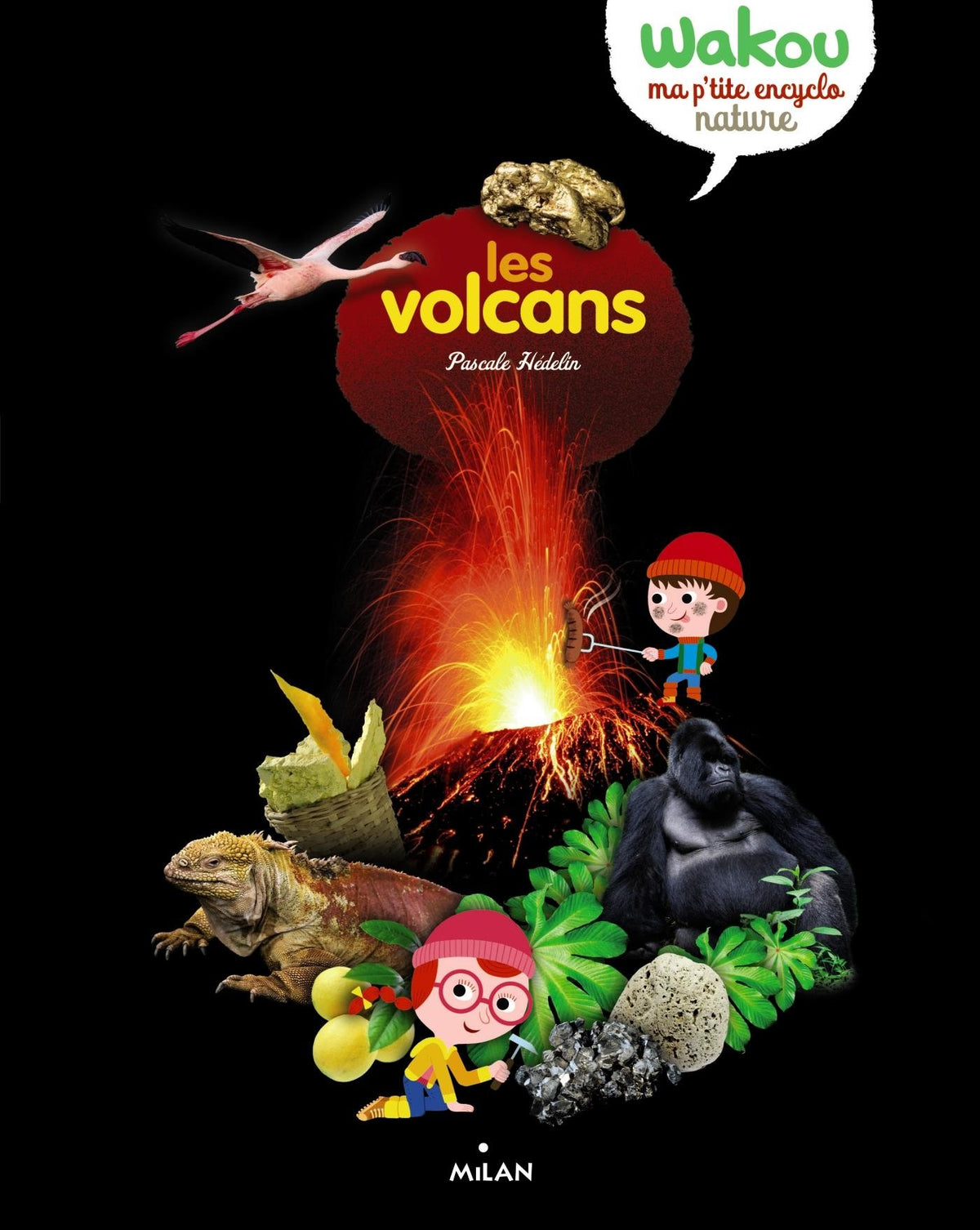 Les volcans 9782745968456