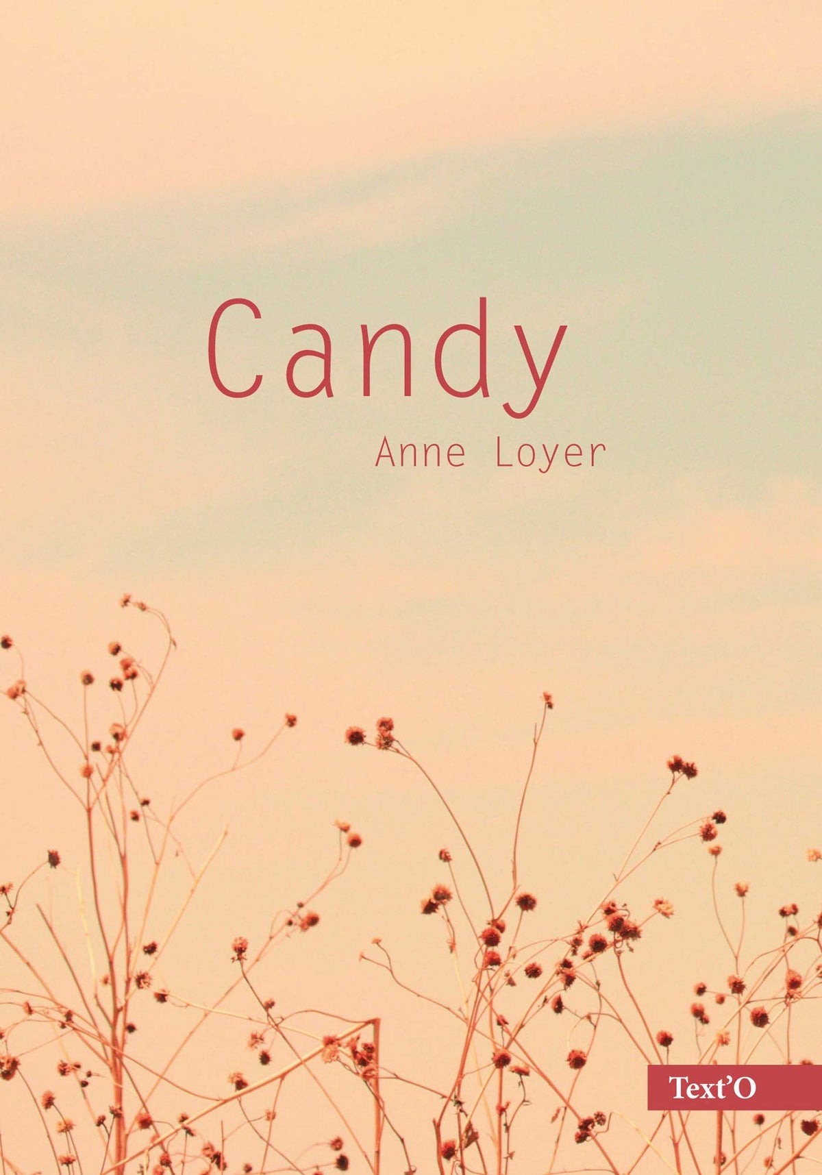 Candy 9782917237397