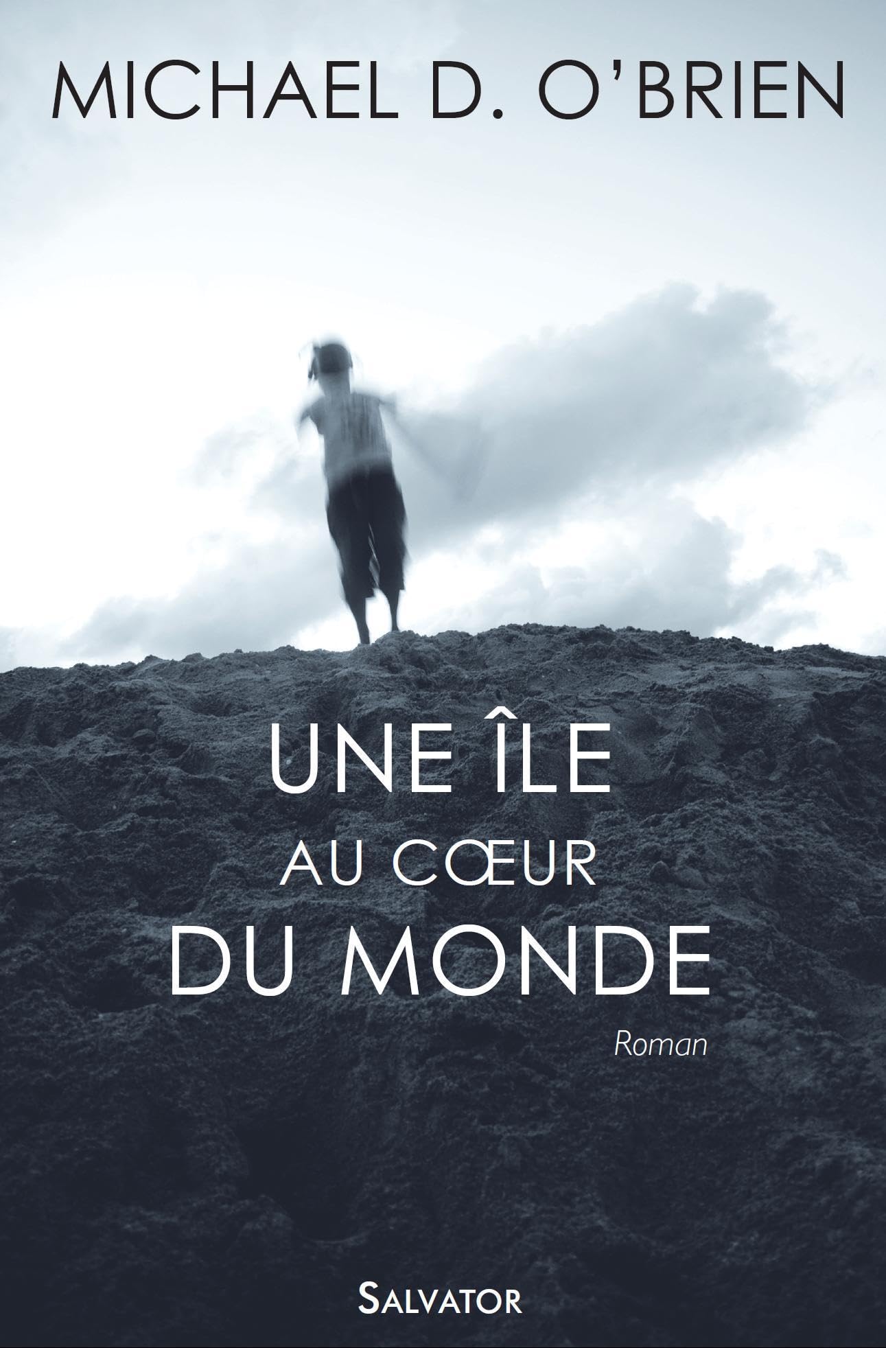 Une Ile au Coeur du Monde 9782706708008