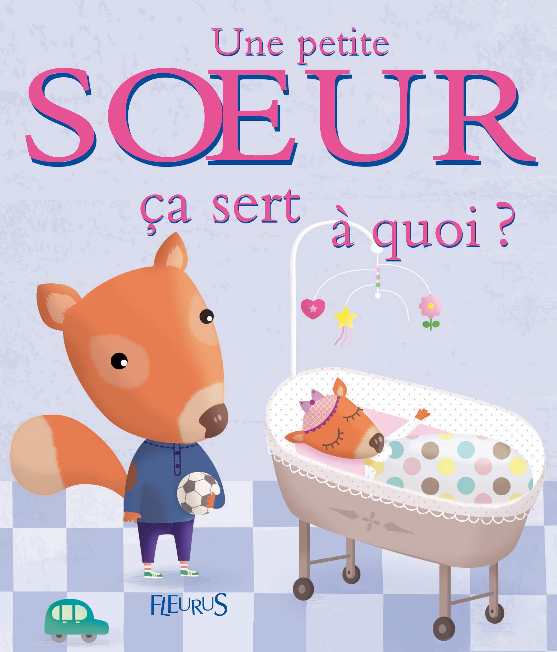 Une petite soeur 9782215114987