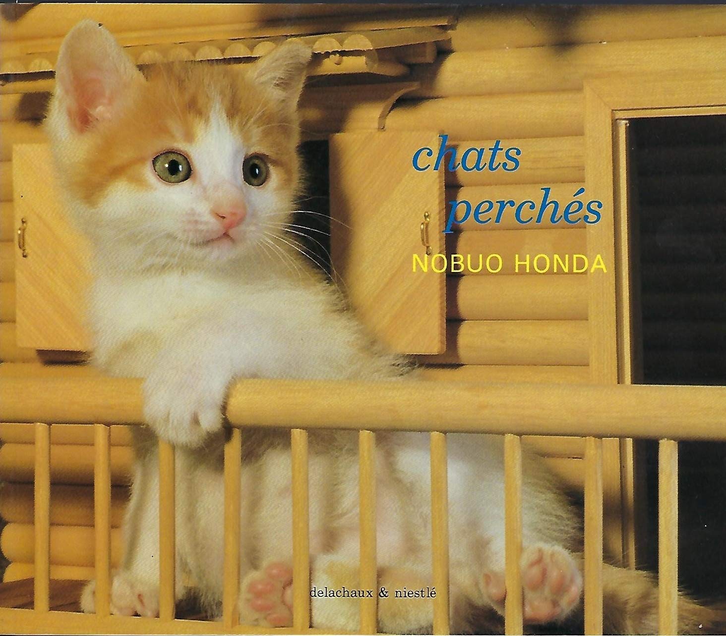 Chats perchés 9782603005736