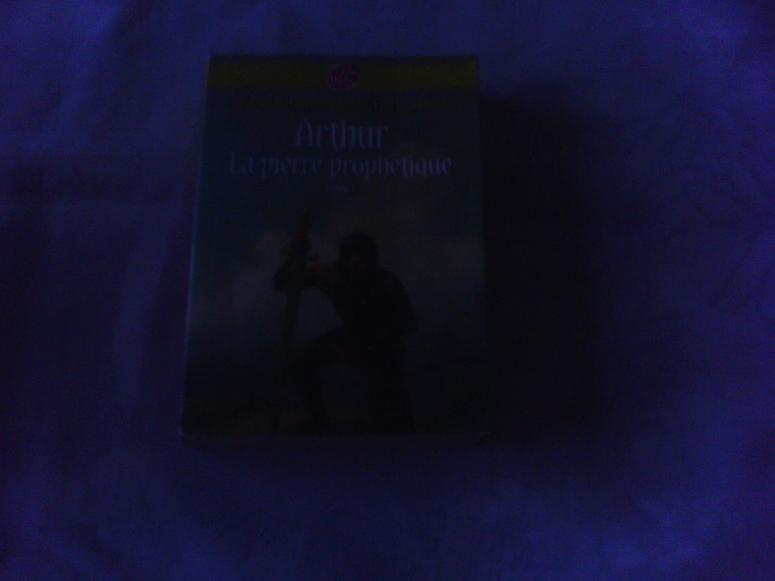 Arthur - Tome 1 - La pierre prophétique 9782013227438