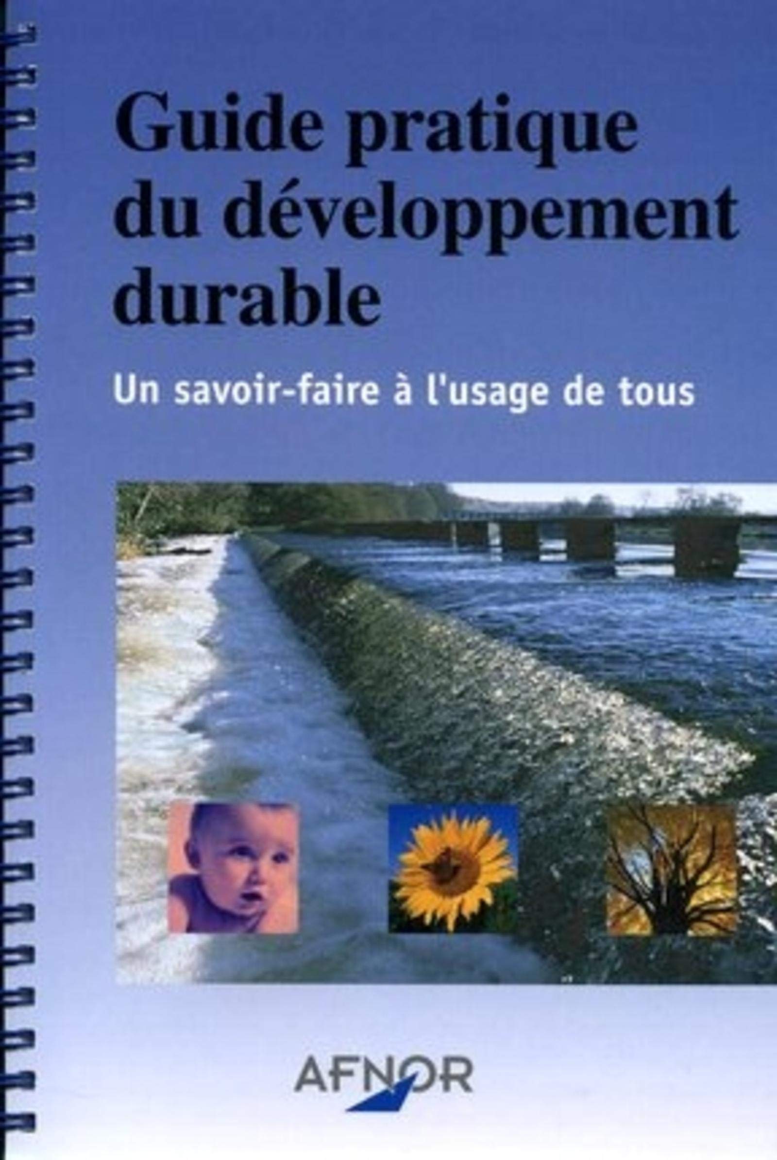 Guide pratique du développement durable: Un savoir-faire à l'usage de tous 9782124941582