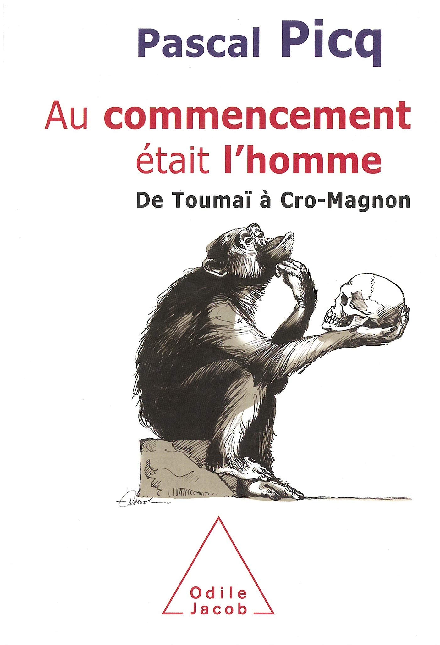 Au commencement était l'homme: De Toumaï à Cro-Magnon 9782738112811