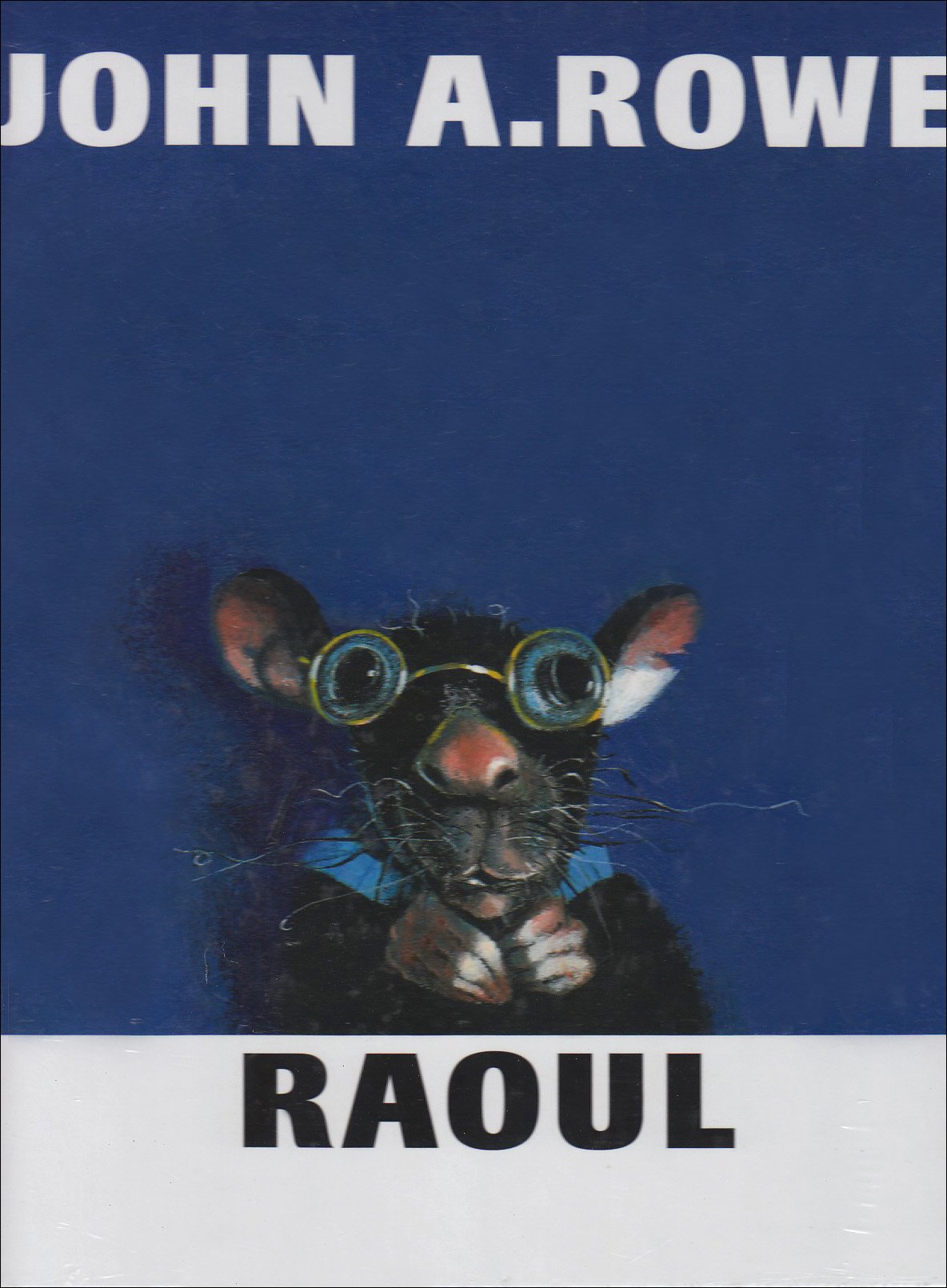 Raoul 9783314210952