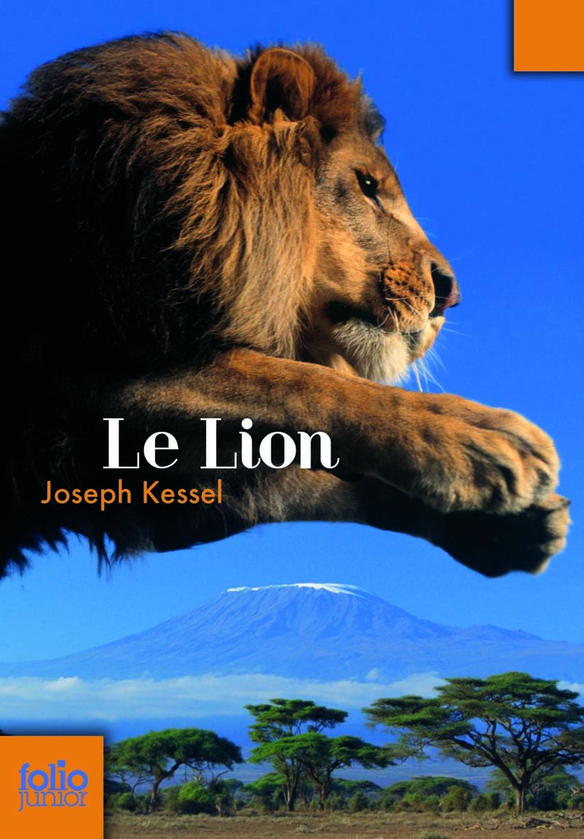 Le lion 9782070612567