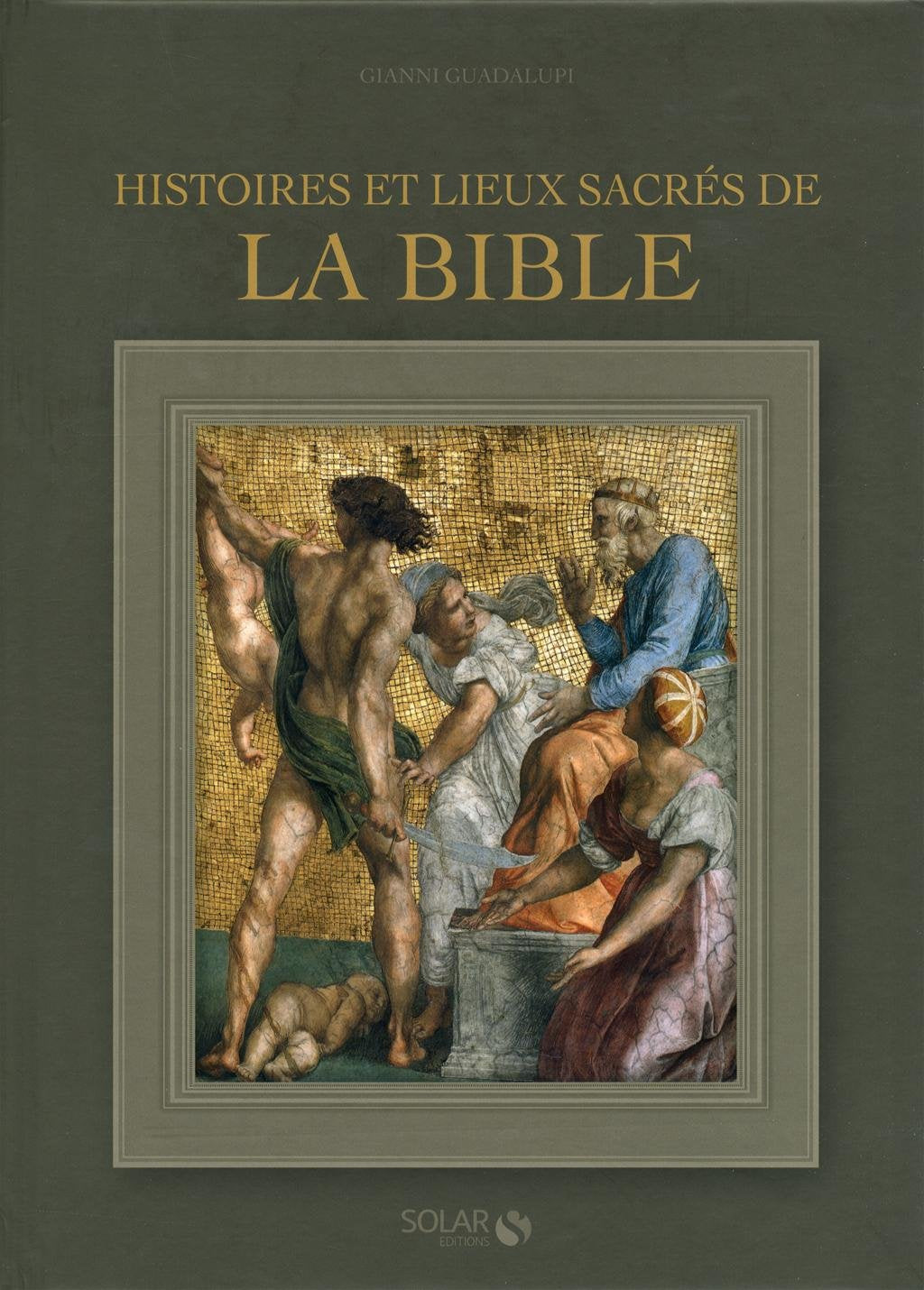 HISTOIRES ET LIEUX SACRES DE LA BIBLE 9782263059711