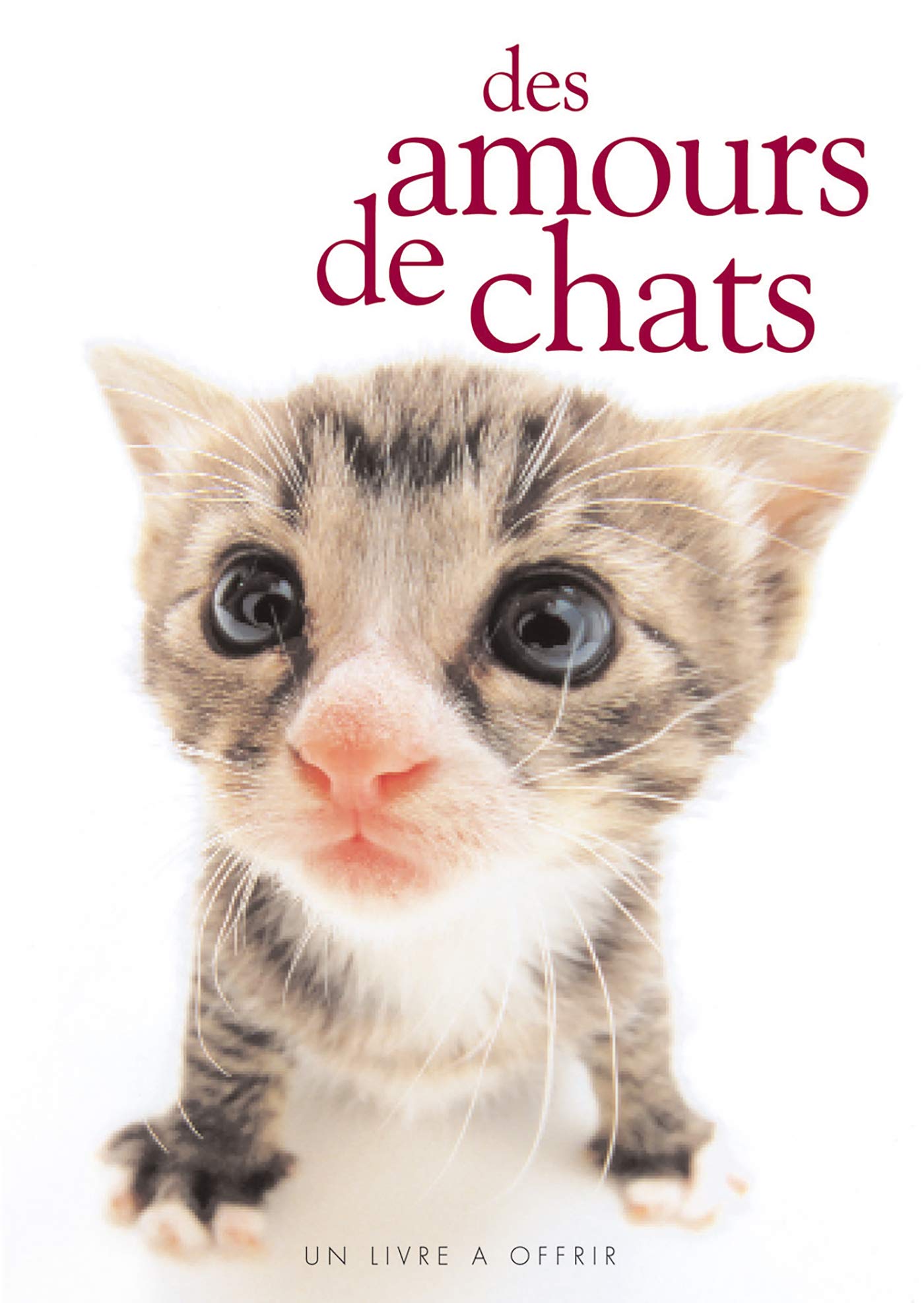 AMOURS DE CHATS 9782873883751