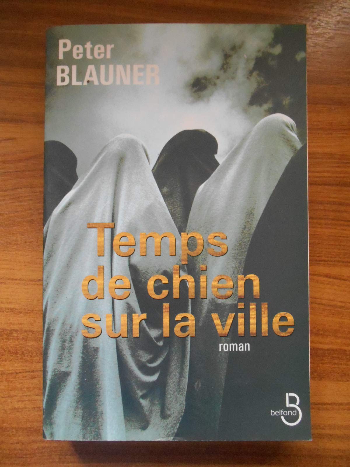 Temps de chien sur la ville 9782714437235