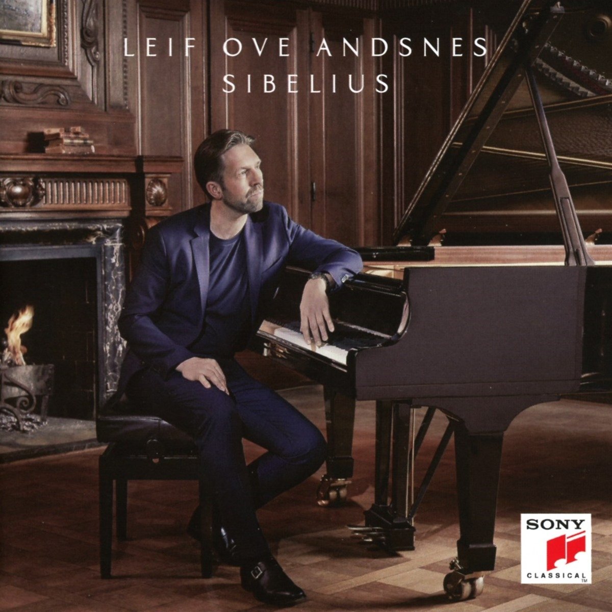 Sibelius 9786317077157
