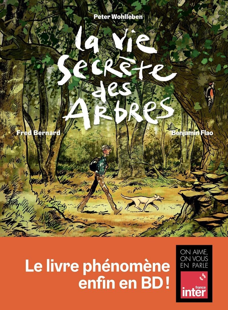 La Vie secrète des arbres en BD 9791037507273