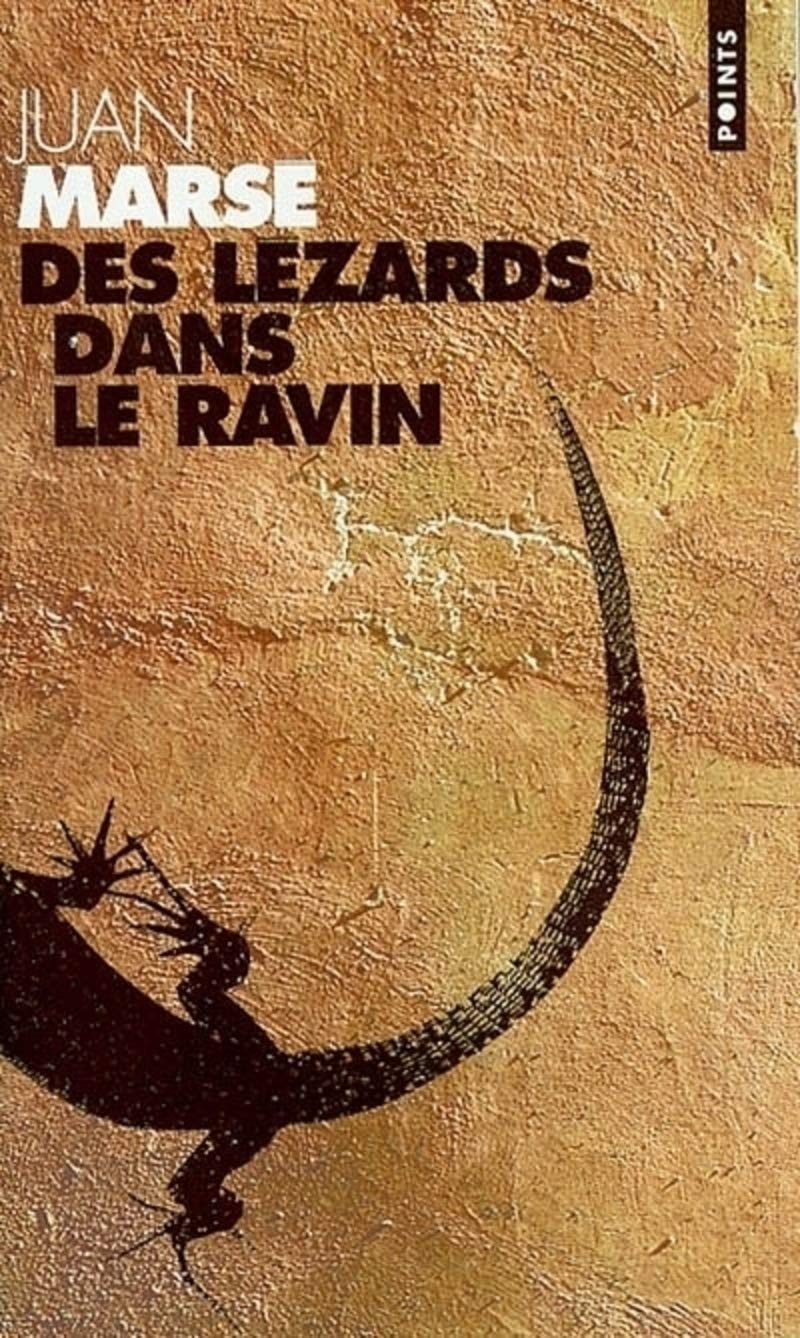 Des lézards dans le ravin 9782020506632