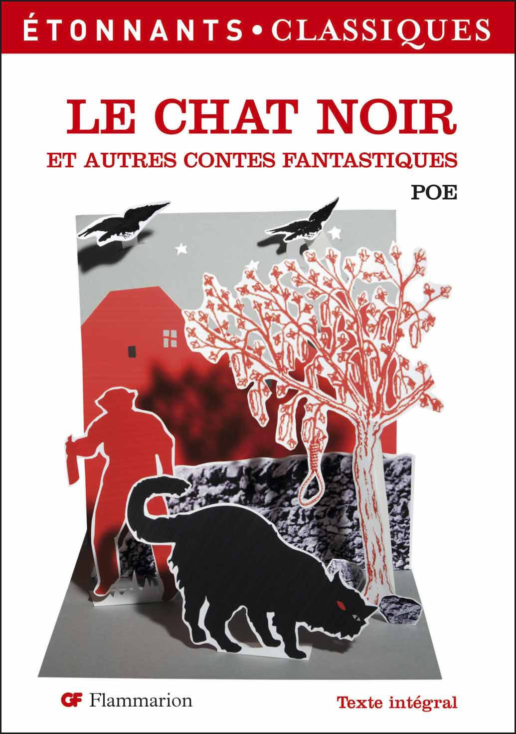 le chat noir et autres contes fantastiques 9782081208247