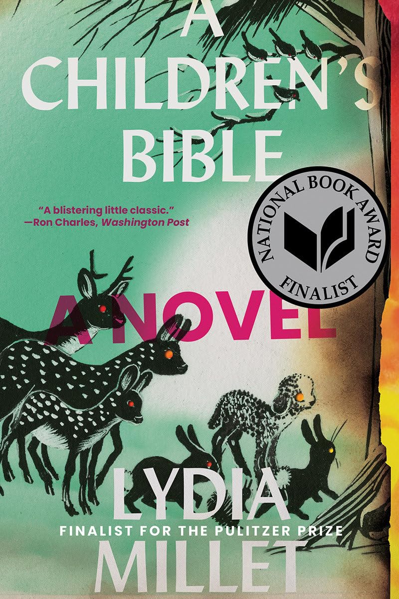A Children's Bible: A Novel 9780393867381