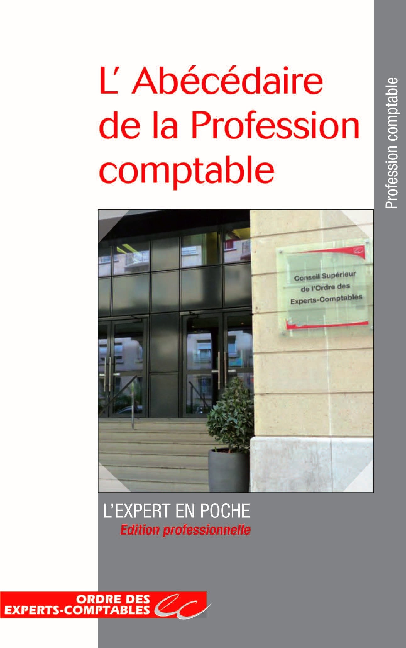L'Abécédaire de la Profession comptable 9782352671763