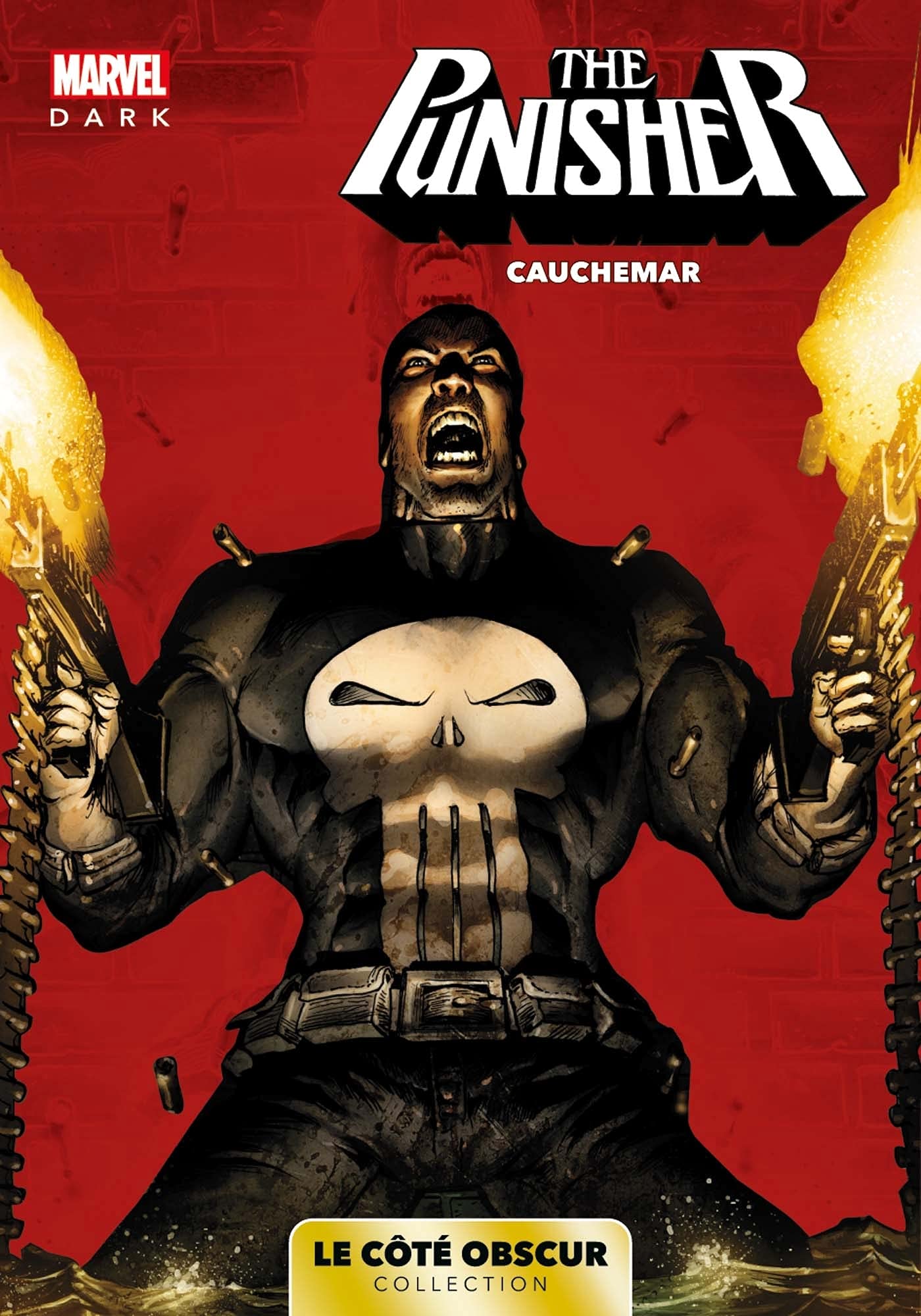 Marvel Dark: Le côté obscur T07 - Punisher 9782809497755