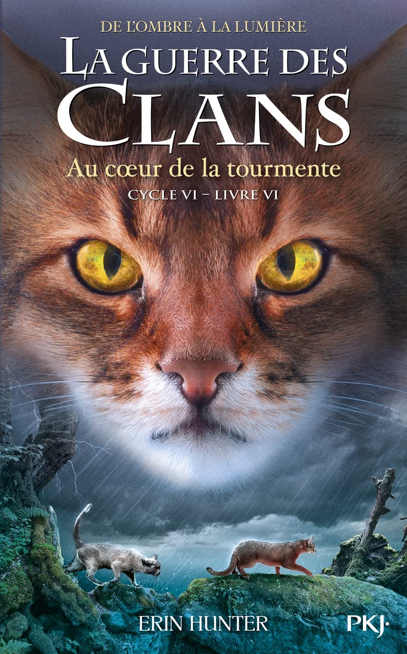 La Guerre des clans, Cycle VI - Tome 06 : Au c ur de la tourmente (6) 9782266321518