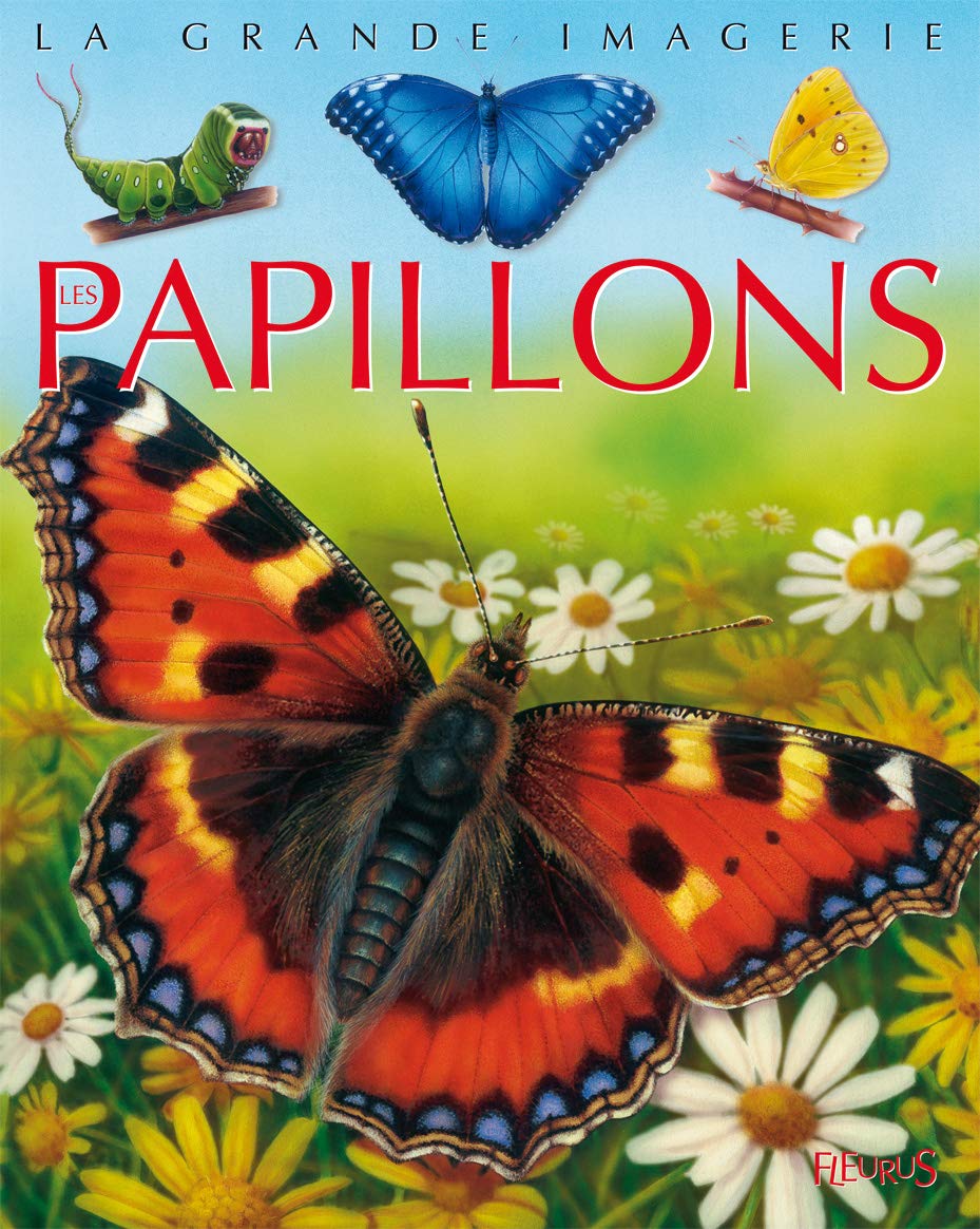 Les papillons 9782215104339