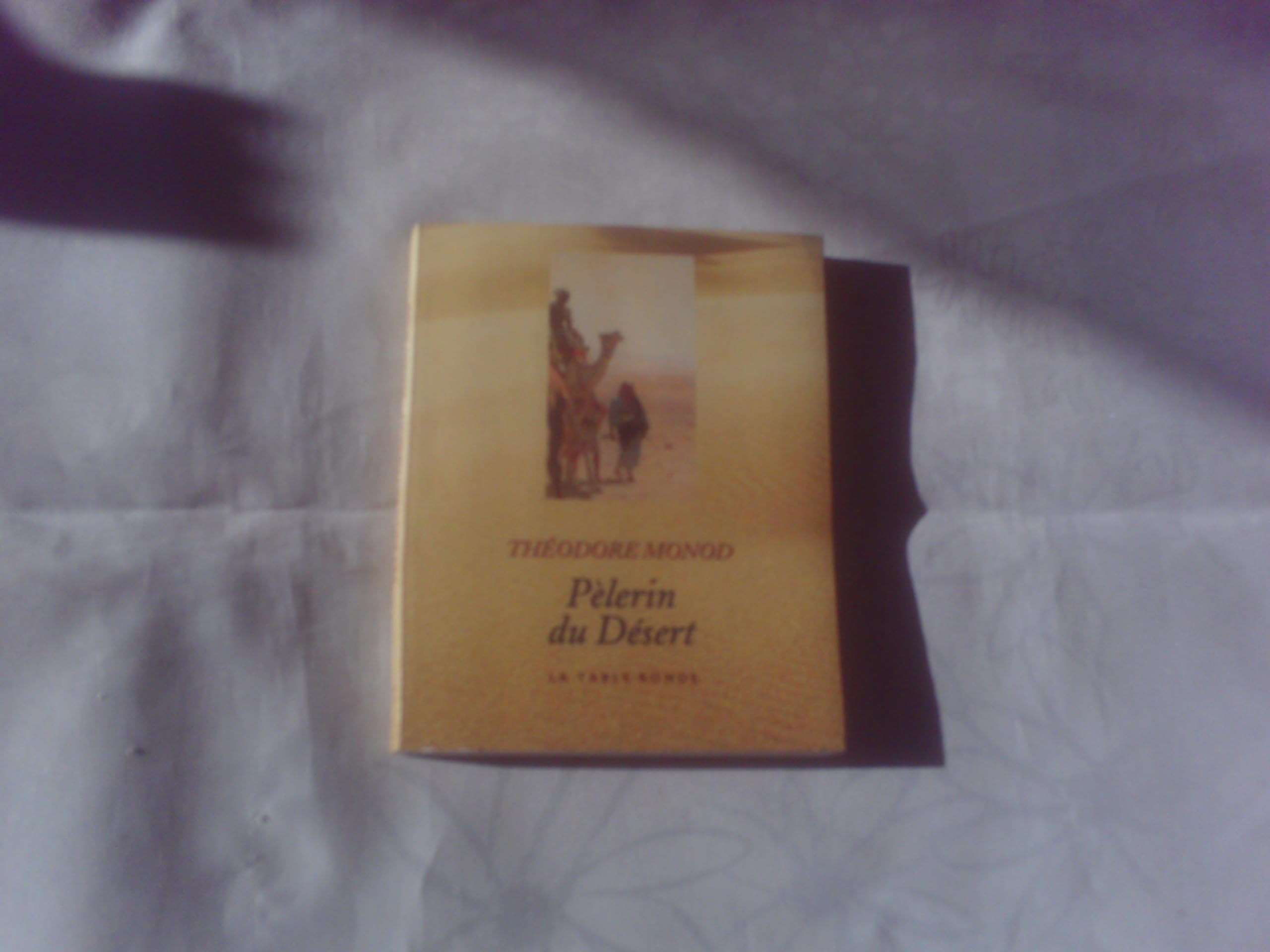 Le pèlerin du désert 9782710308935