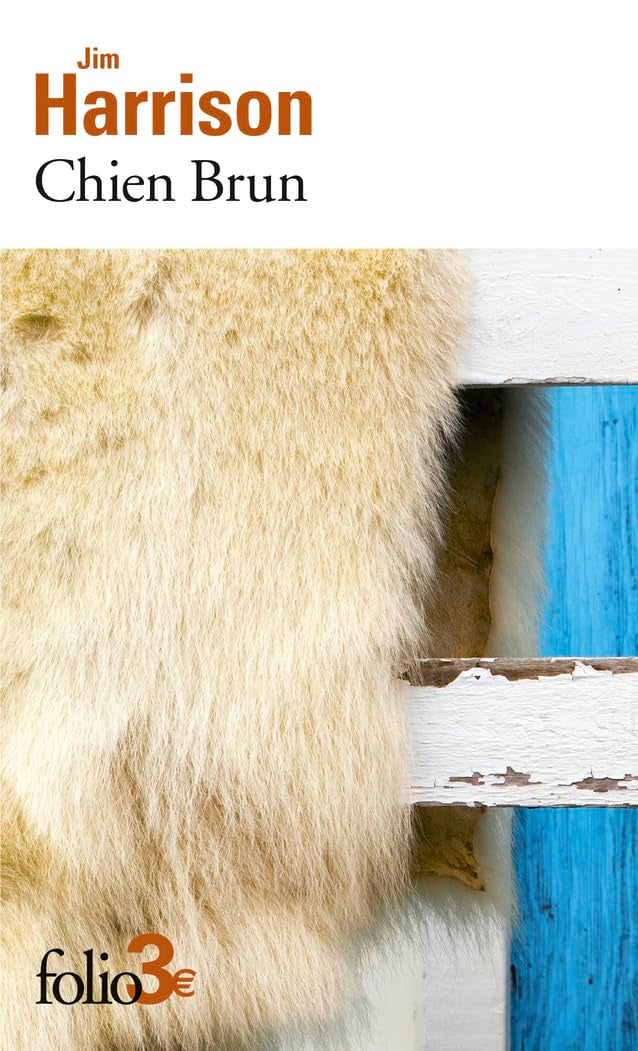 Chien Brun 9782073015969