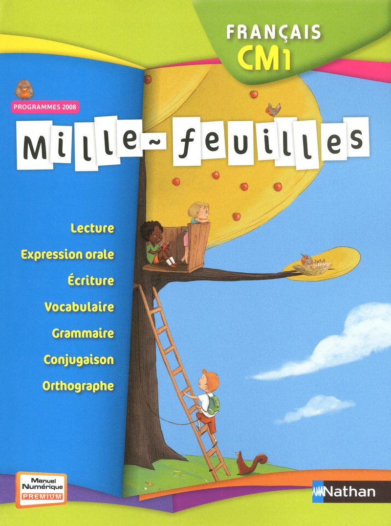 Mille-feuilles CM1 9782091225173