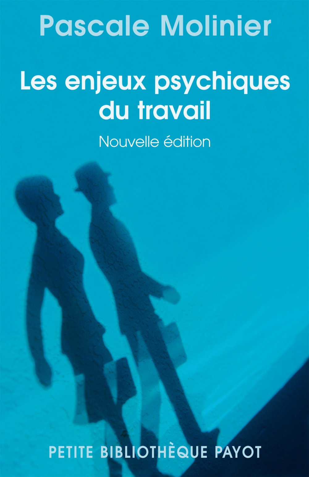 Les Enjeux psychiques du travail 9782228900706