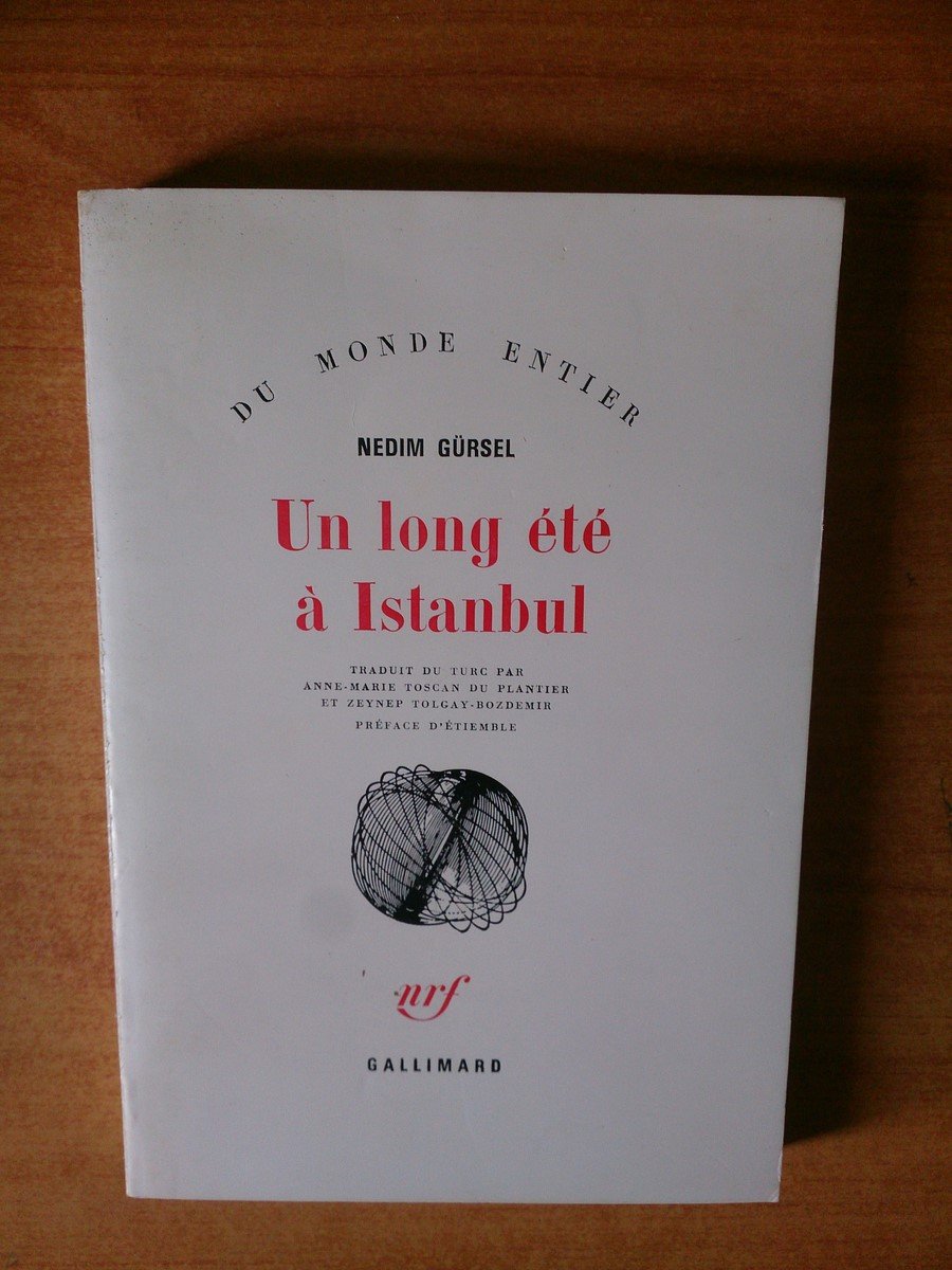 Un long été à Istanbul 9782070226160