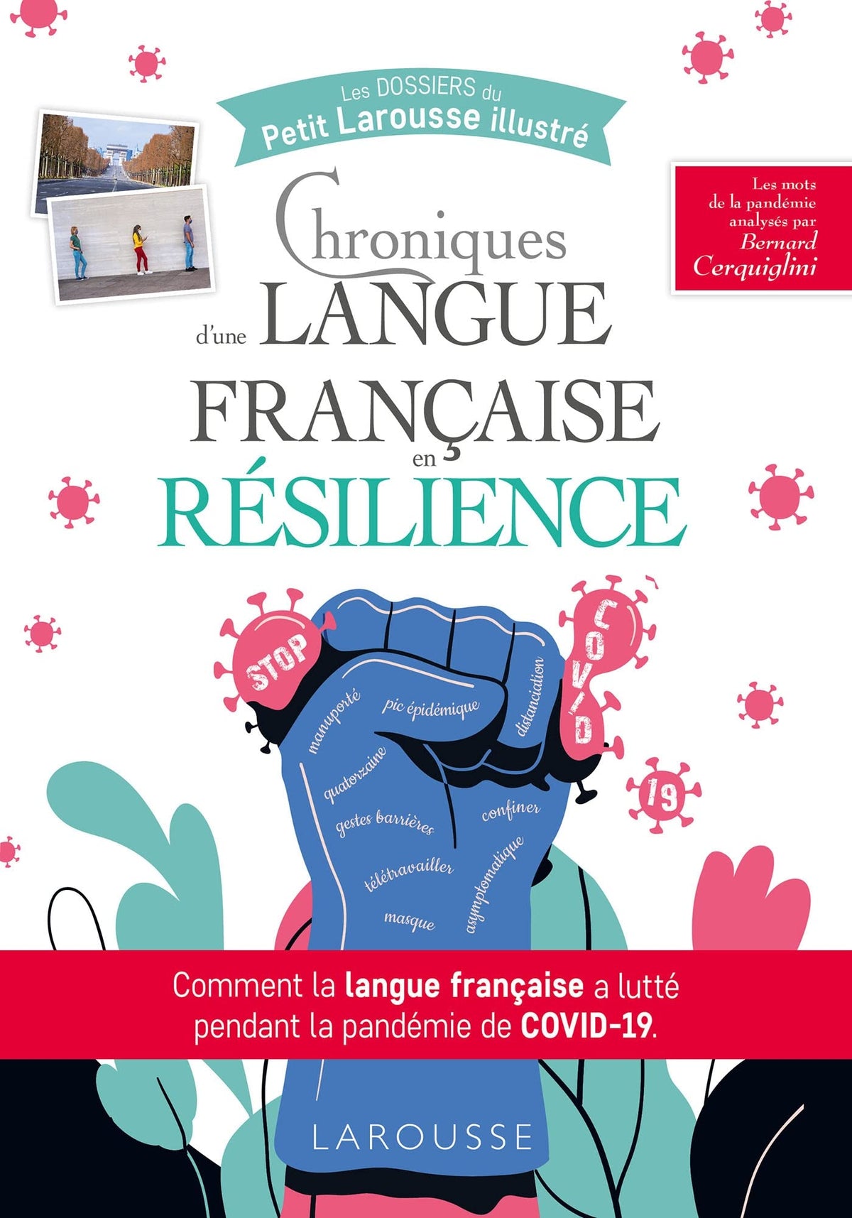 Chroniques d'une langue Française en resilience 9782036000100