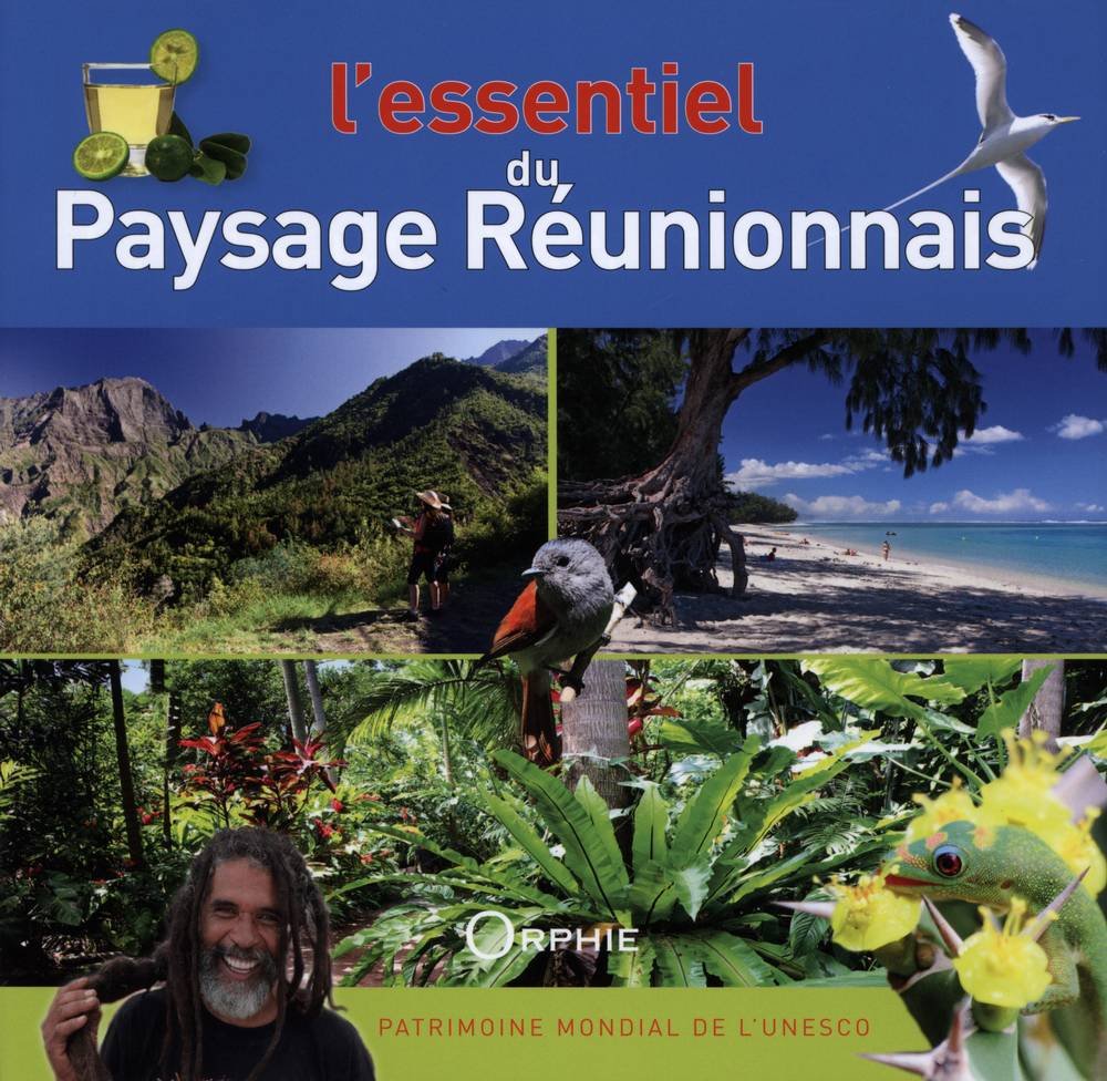 L'essentiel du paysage réunionnais 9782877638098