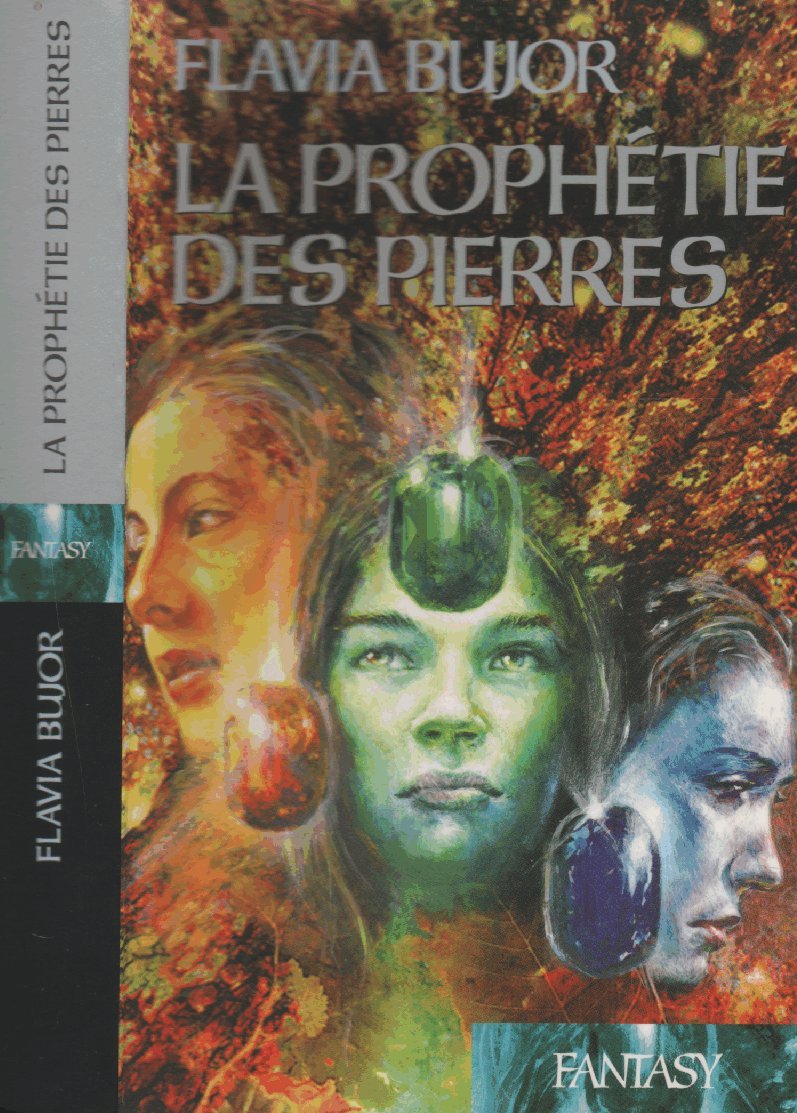 La prophétie des pierres (Fantasy) 9782744167317