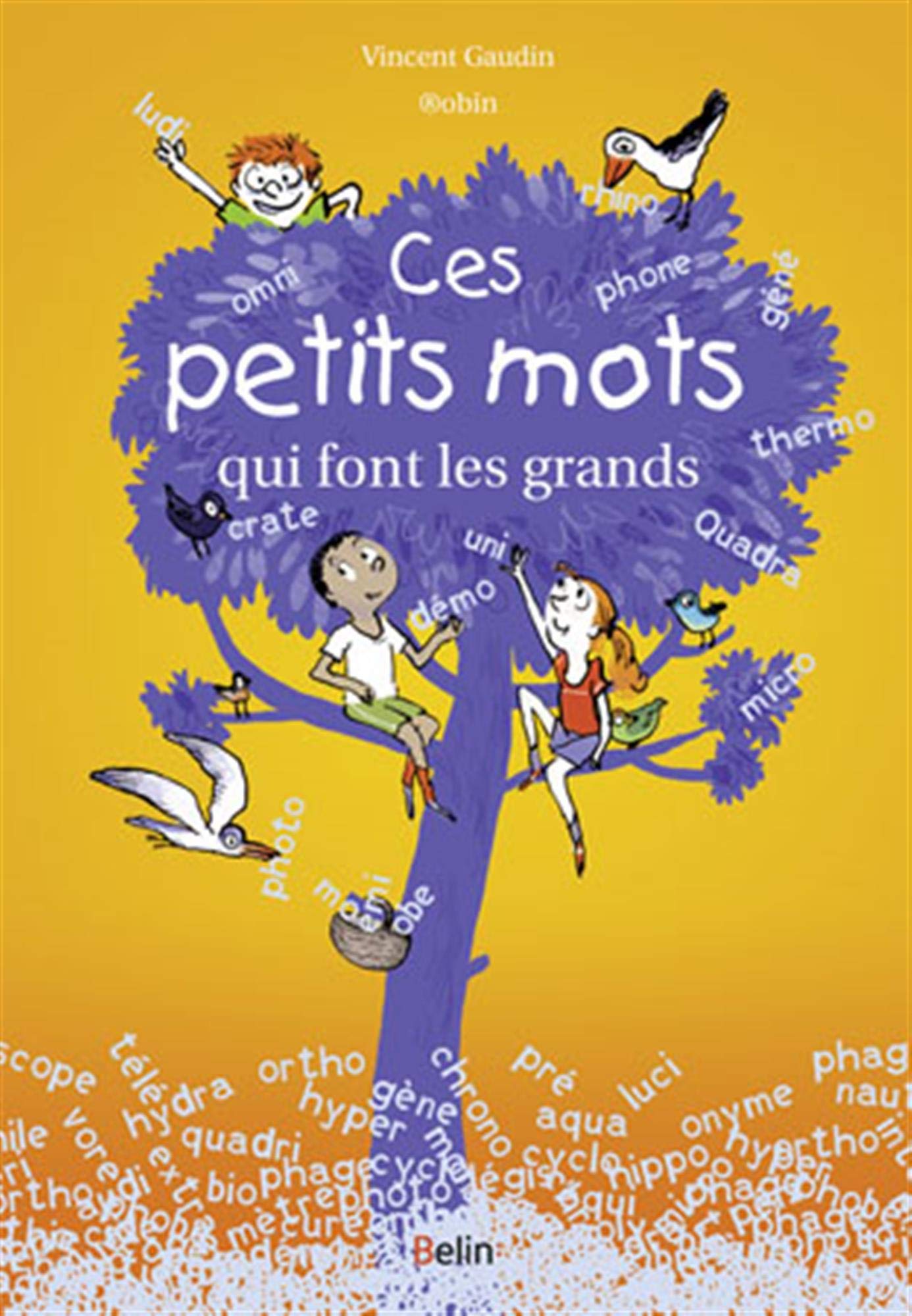 Ces petits mots qui font les grands 9782701159782