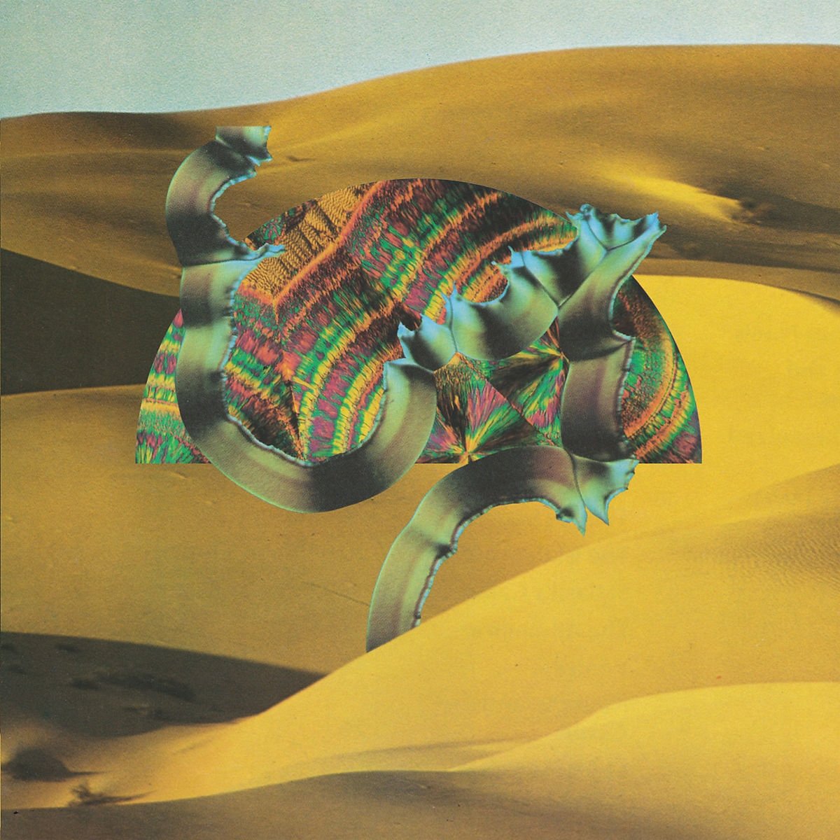 Django Django 5060281611055