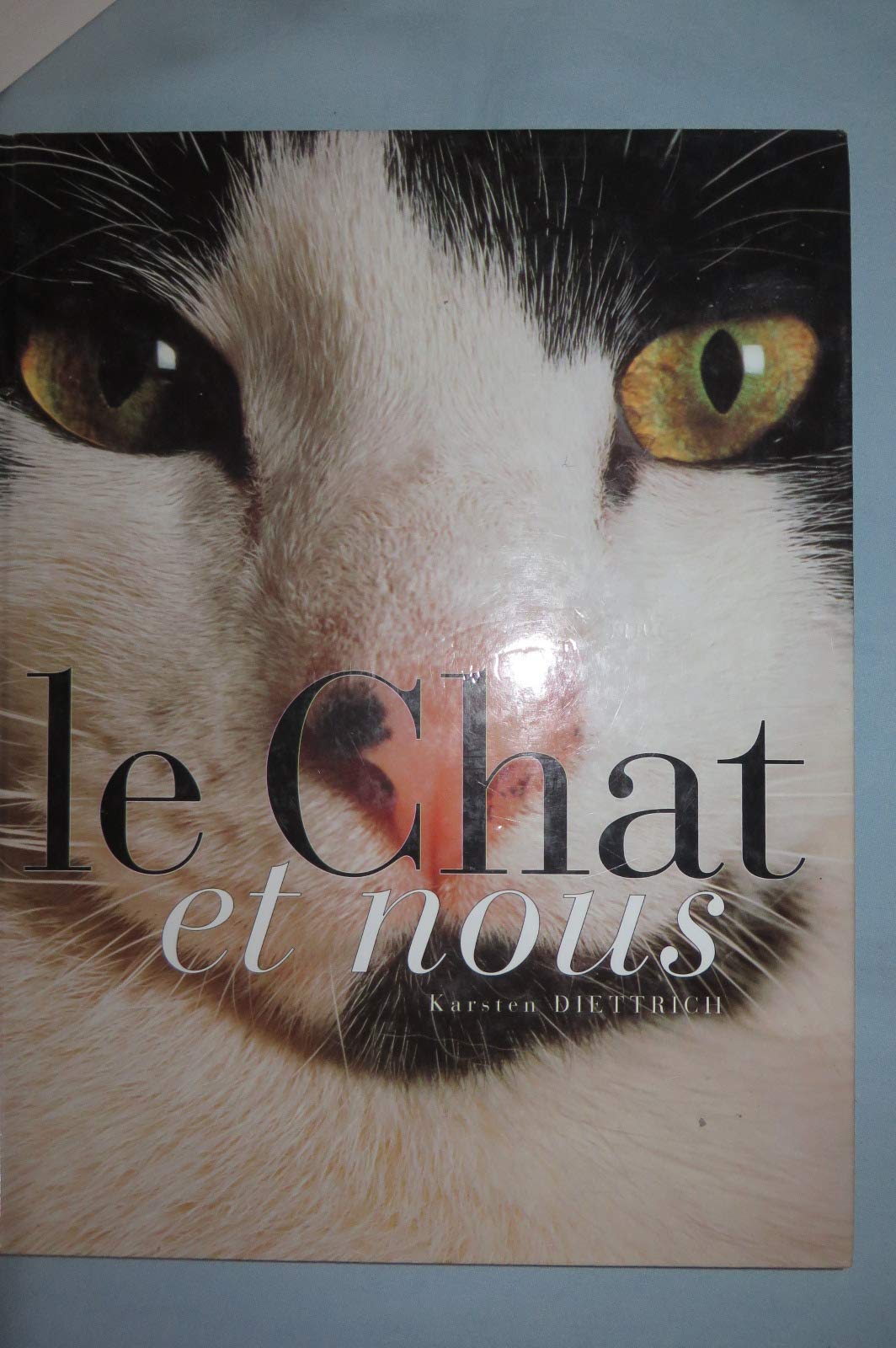 Le chat et nous 9782724293234