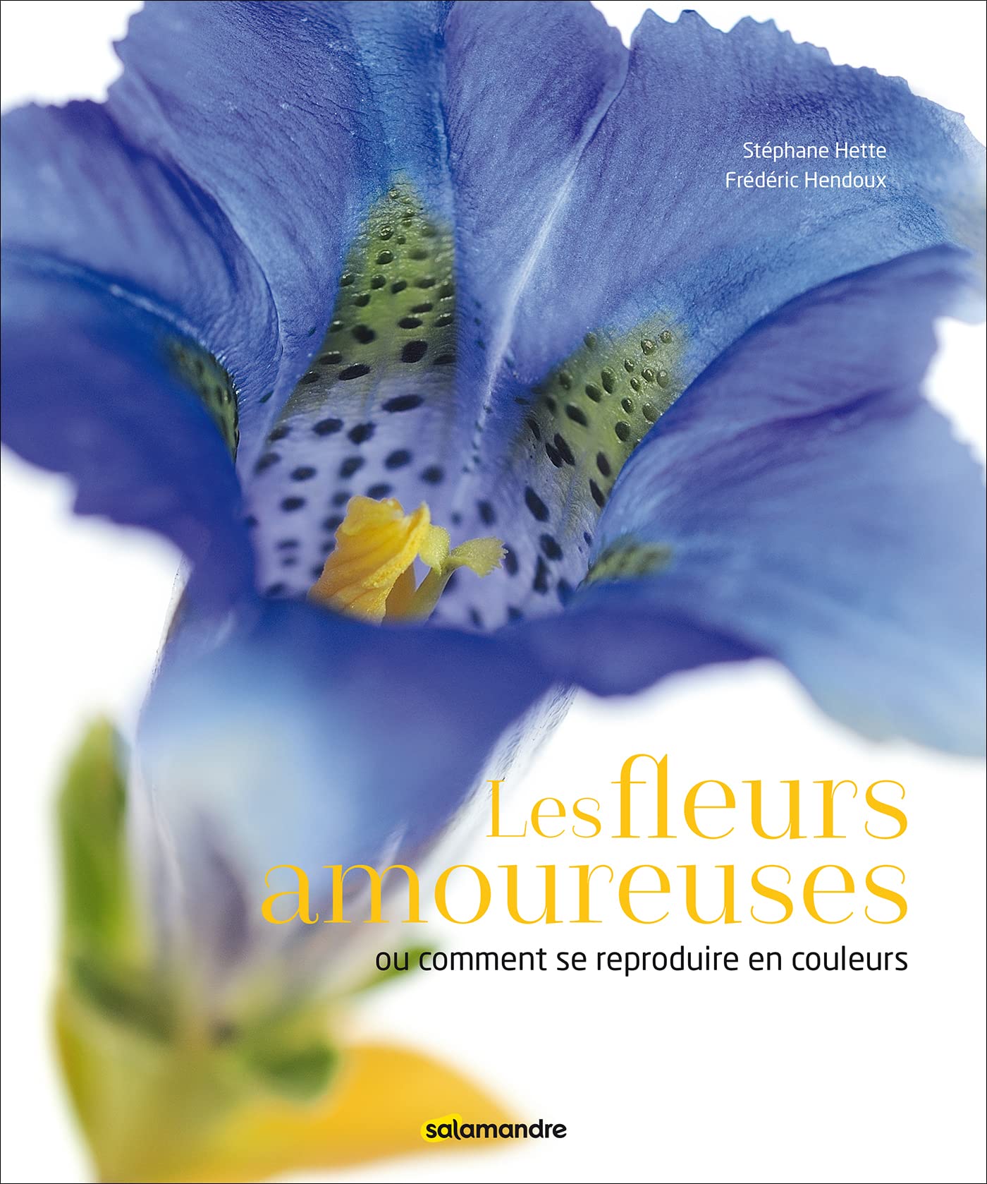 Les fleurs amoureuses 9782889583676
