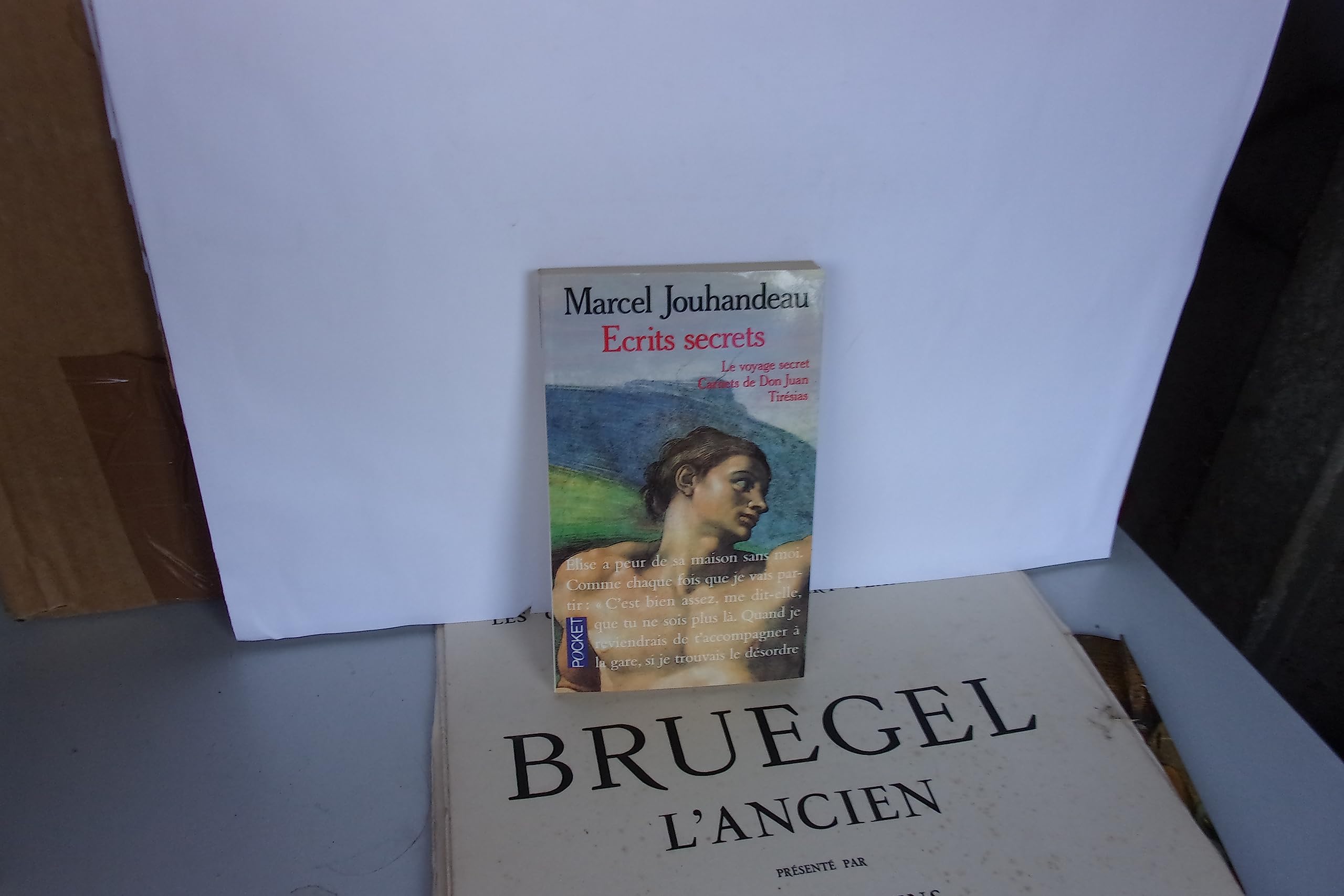 Écrits secrets : Le voyage secret, Carnets de Don Juan, Tirésias 9782266049276